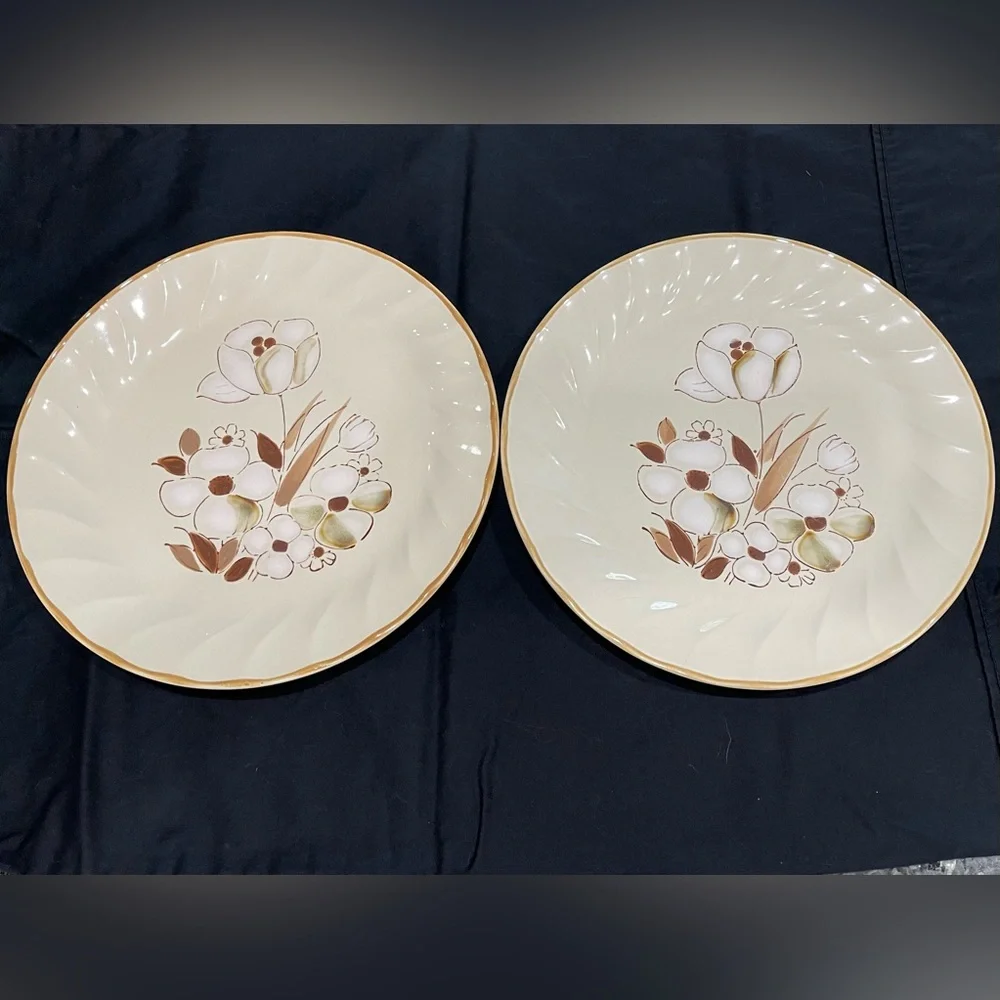 Felicity Sculptura Hearthside Stoneware Dinner Plates 10.5 in Set of 2 Vintage